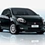 Fiat Punto Servisi