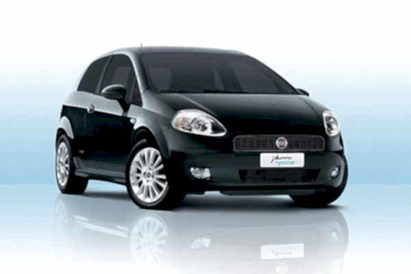 Fiat Punto Servisi